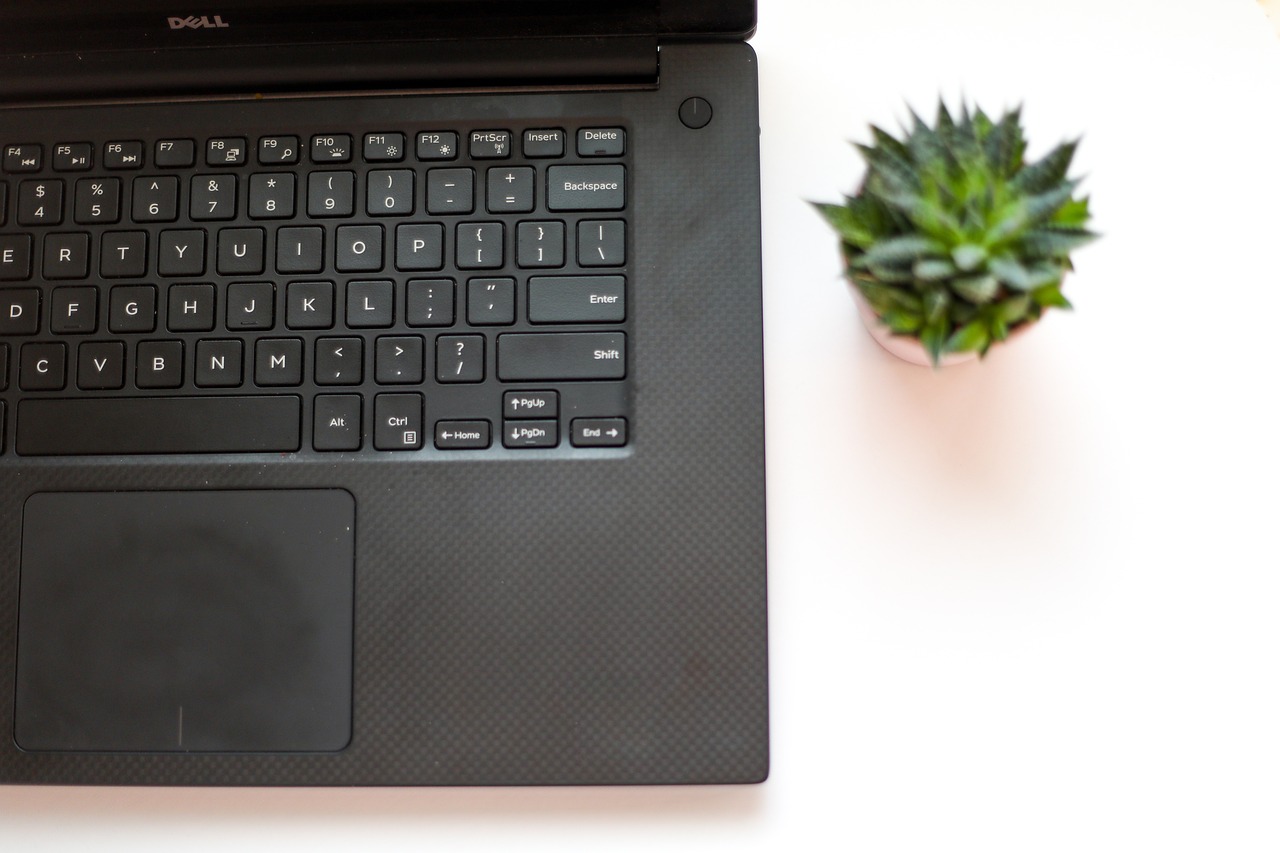 The Desk Plant Choice That Actually Improves Focus