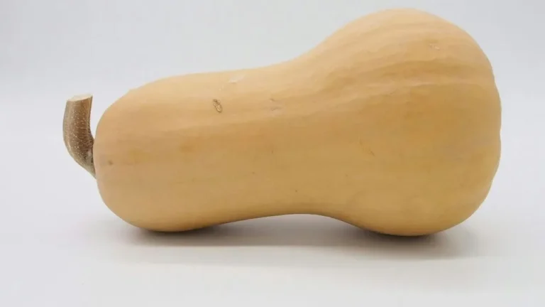 Butternut Squash Divides Autumn Tables and Gardens - Featured image