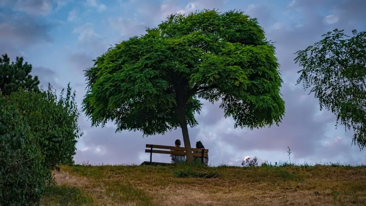Tree of Heaven Invades American Highways and Gardens