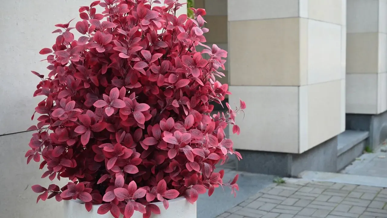 Tracy Buttrick's Autumn Container Designs Refresh New Jersey Homes