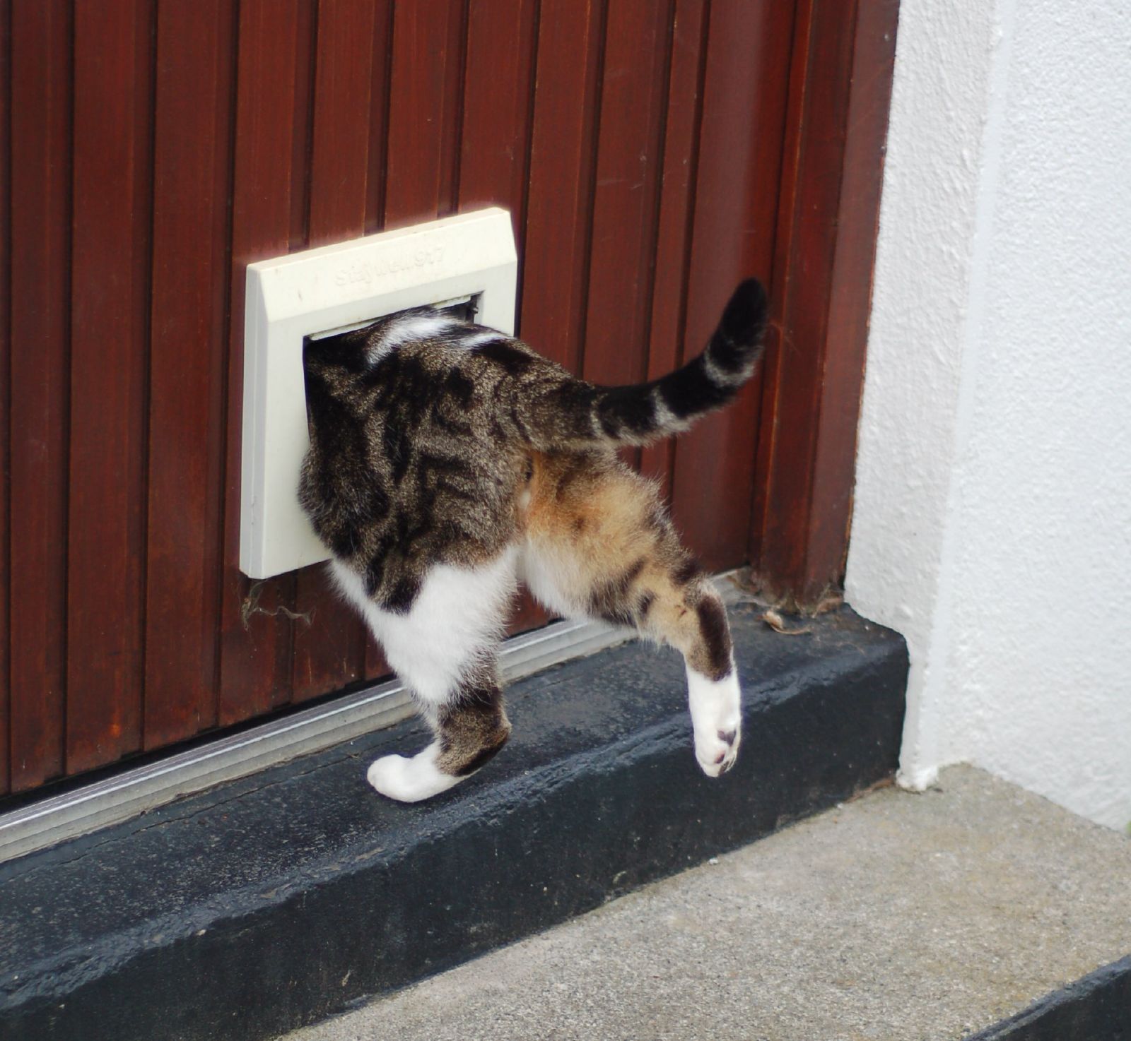 The Tiny Door in Old Homes Nobody Uses Anymore