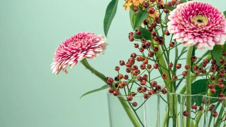 Plant in November for Superior Spring Blooms - Featured image