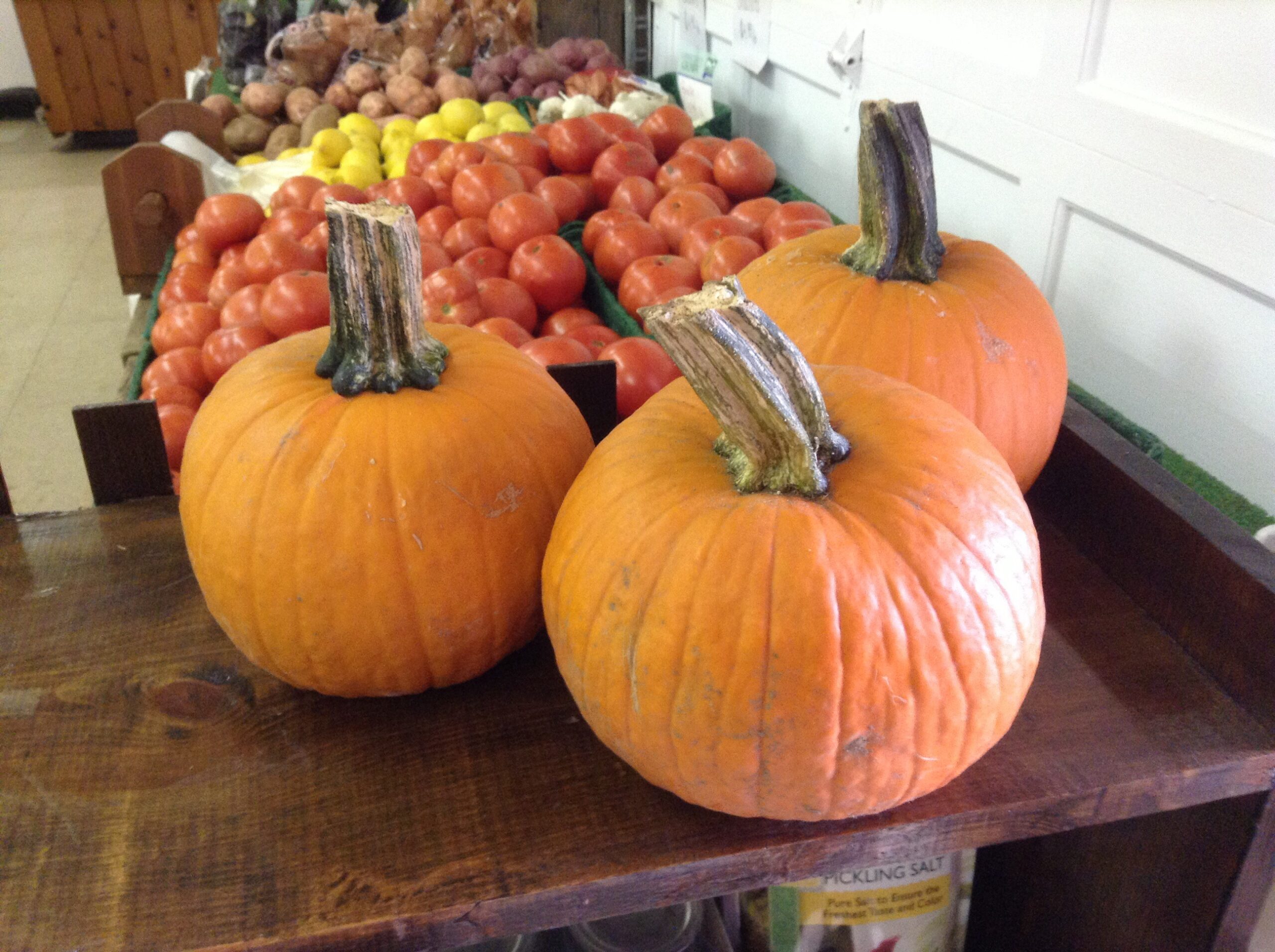 Why Roasted Pumpkin Seeds Turn Out Chewy and the Fix That Makes Them Crisp