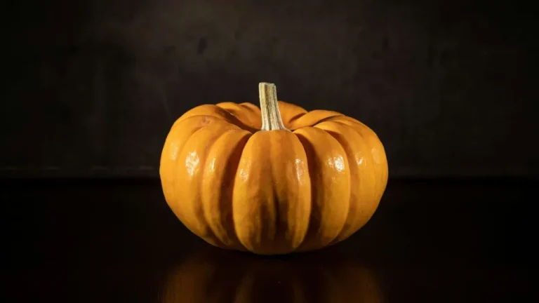 Is That Can of Pumpkin in Your Pantry Still Safe? USDA Advice for Fall Baking - Featured image