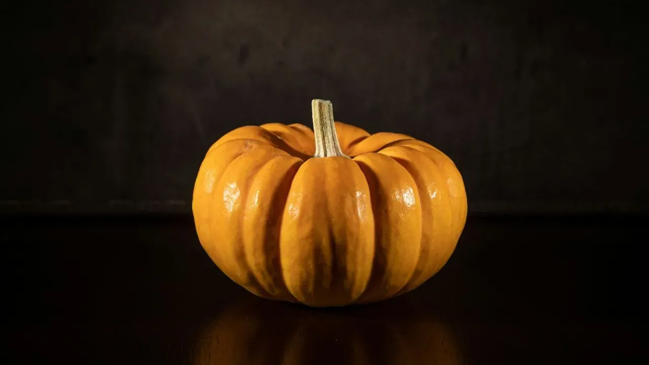 Is That Can of Pumpkin in Your Pantry Still Safe? USDA Advice for Fall Baking
