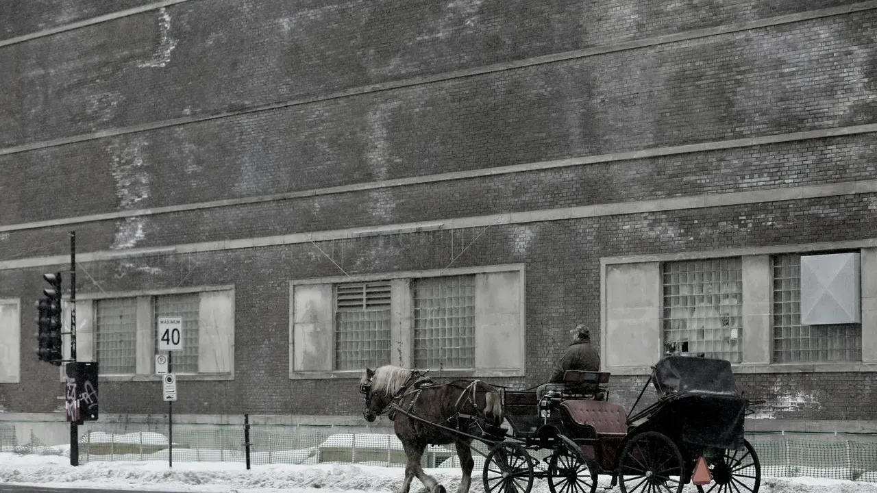 New York City Ends Central Park Horse-Drawn Carriage Tradition After 150 Years