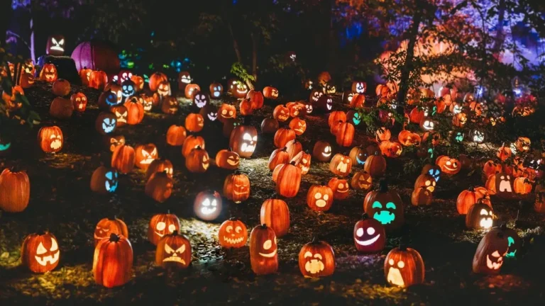 Pumpkin Season Is Here: Chicagoland Patches Where You Can Pick Your Own This October - Featured image