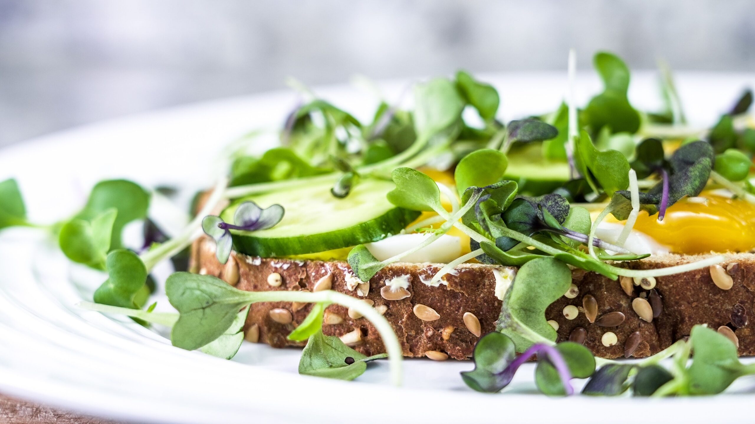 Microgreens on a Kitchen Counter Are Ready in 10 Days, Even in Winter