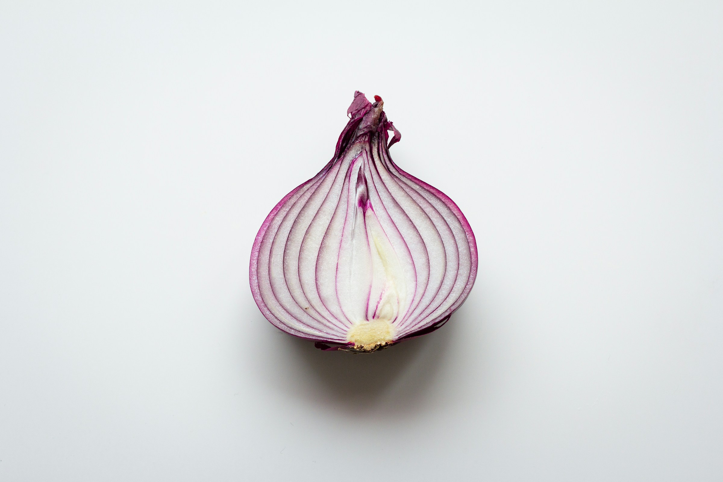Why Some Gardeners Start Onions From Seed in the Middle of Winter