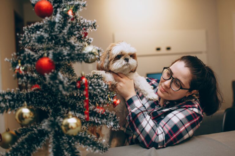 10 Holiday Dangers Vets See Every December - Featured image
