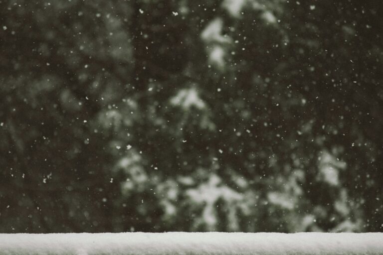 6 Items Every Home Should Have Before the First Winter Storm - Featured image