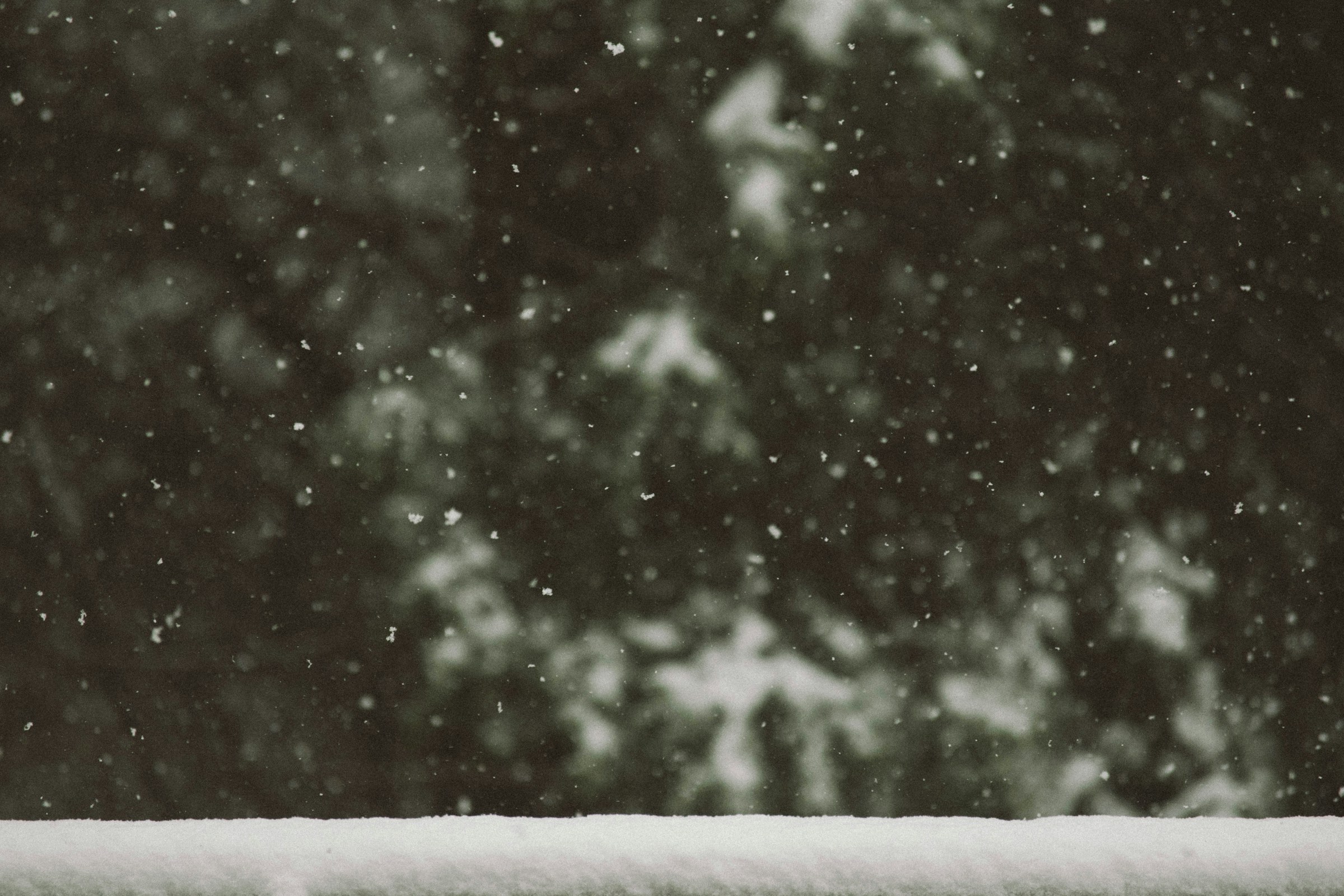 6 Items Every Home Should Have Before the First Winter Storm