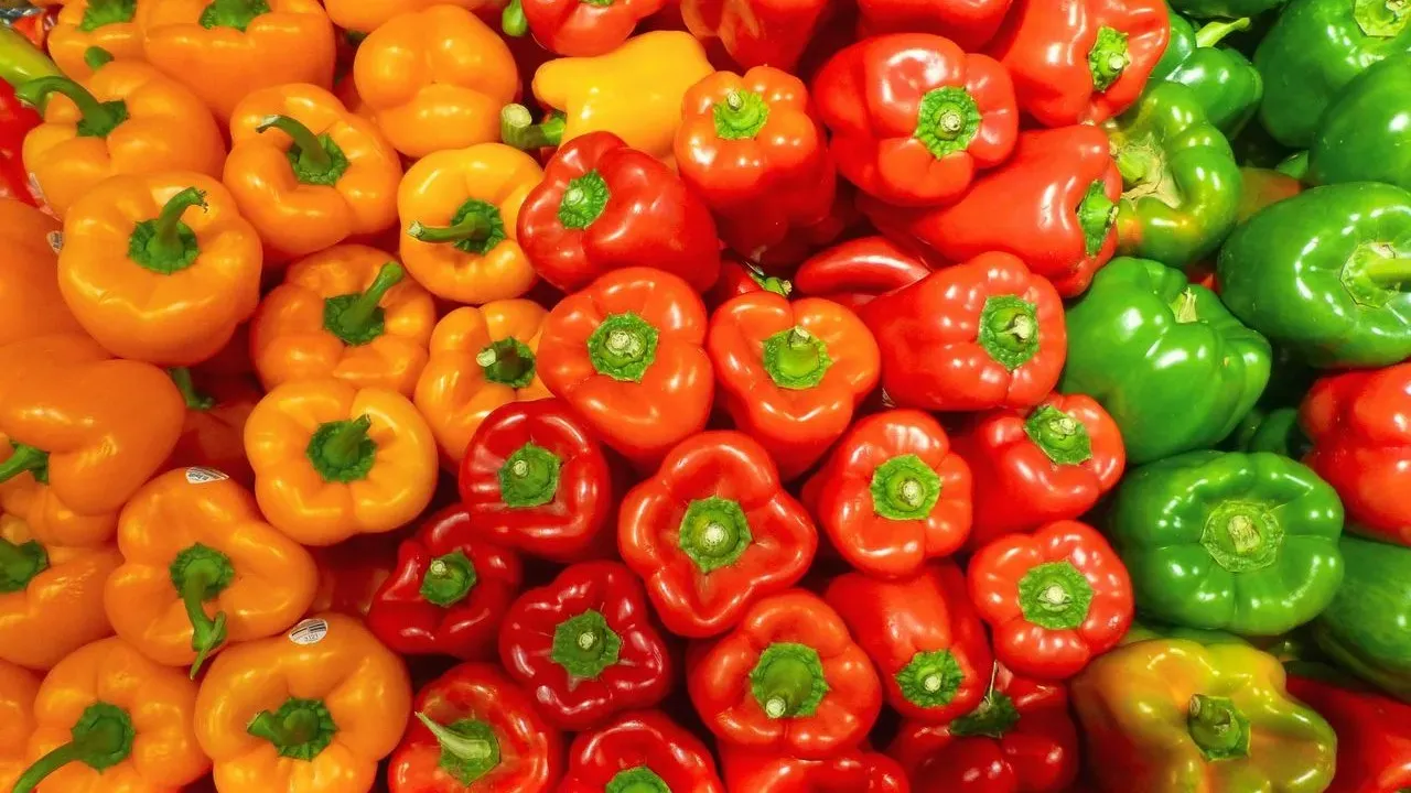 Don’t Discard Those Bell Pepper Seeds: Preserve Them Now for Next Season’s Garden