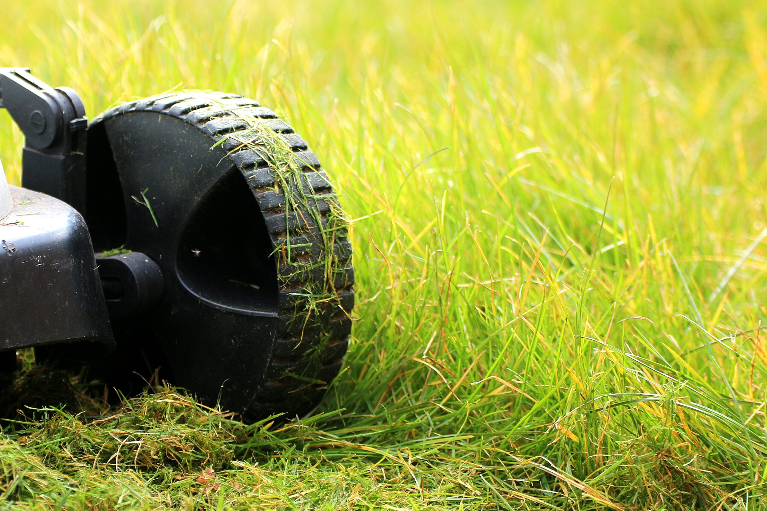 The Last Mow of the Year Lawn Experts Say Should Be Shorter