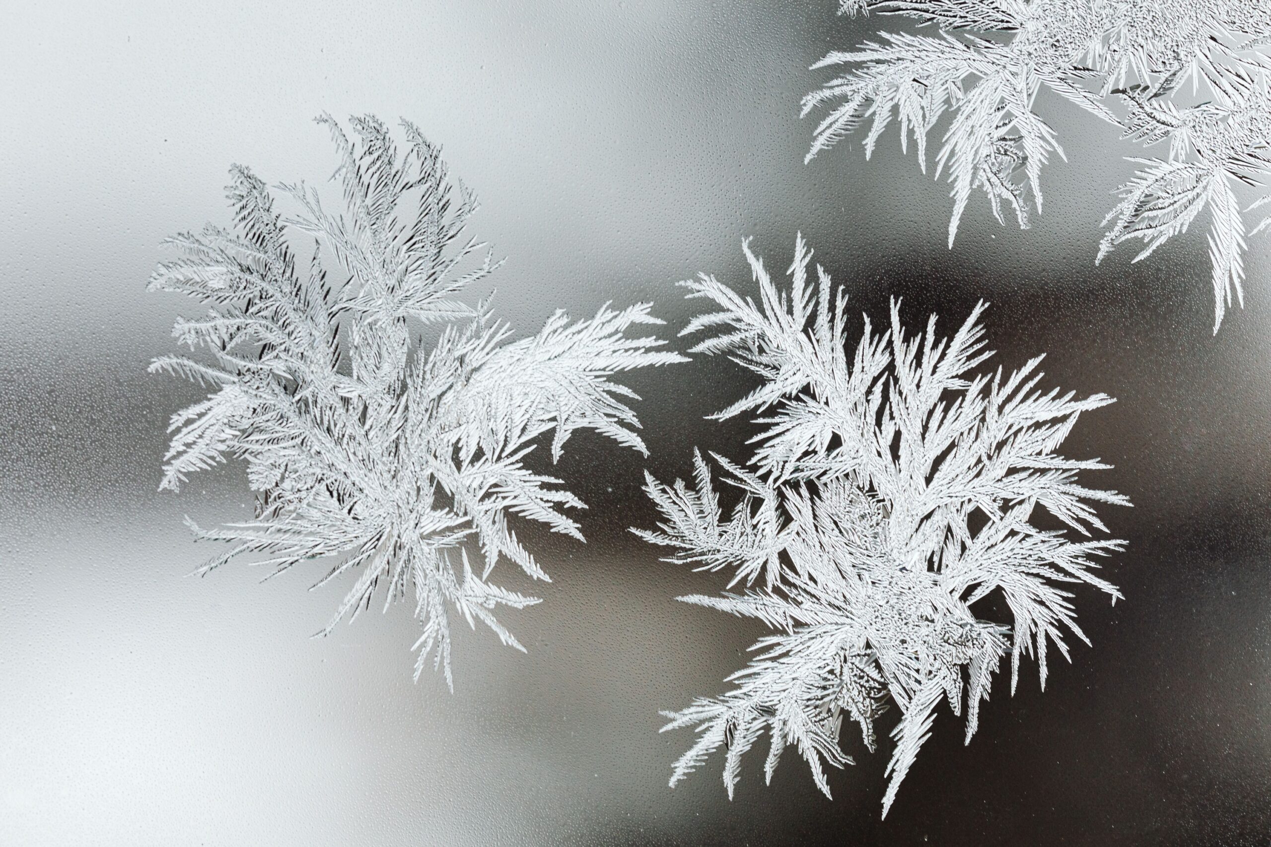 Why Frost Forms on the Inside of Some Windows