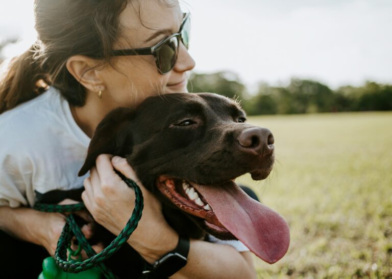 Why Your Dog Squeezes In When You Hug Someone Else - Featured image