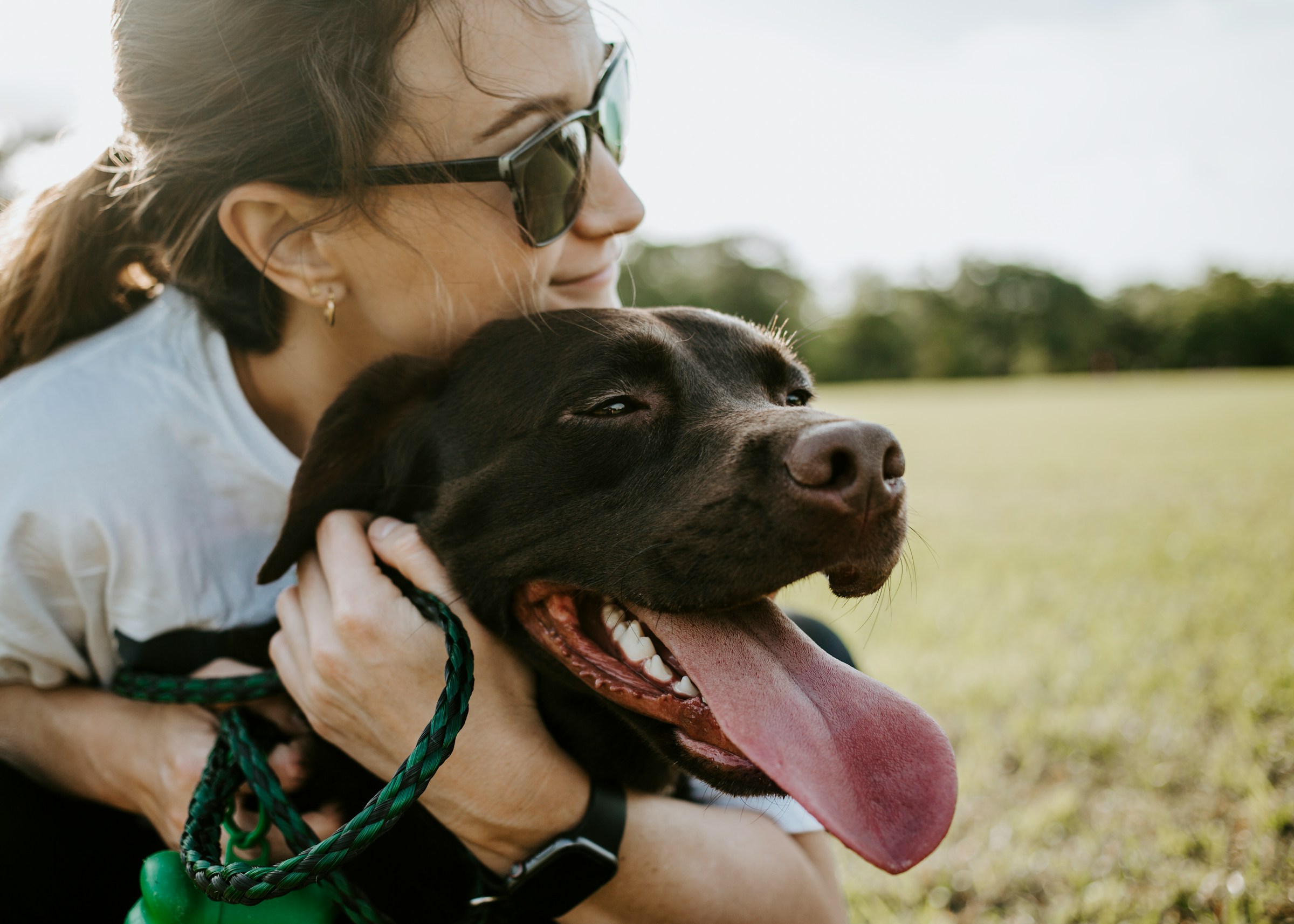 Why Your Dog Squeezes In When You Hug Someone Else