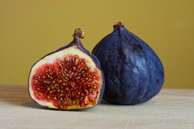 Why Every Fig You Eat Depends on a Tiny Wasp - Featured image