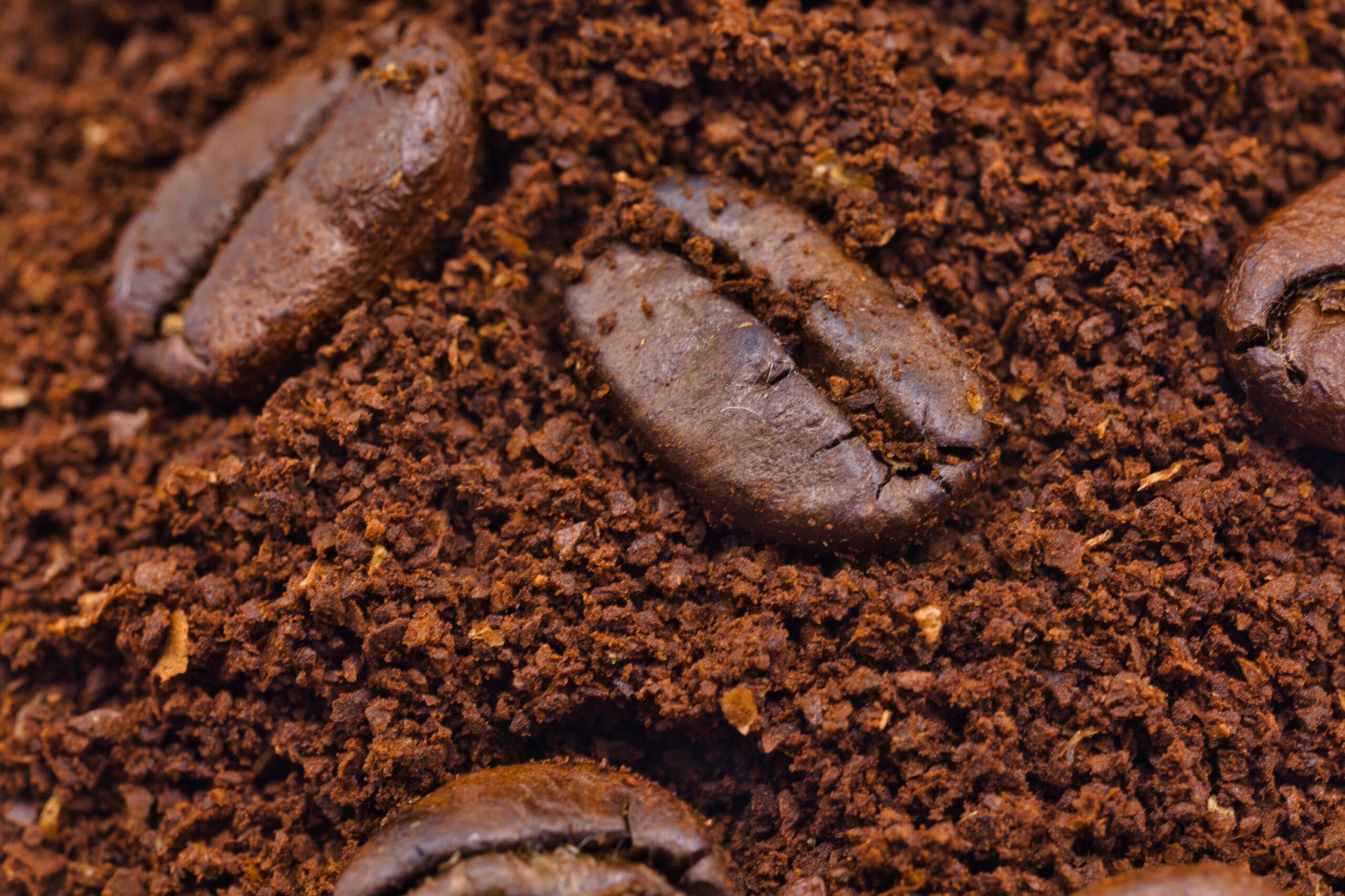 Why Plumbers Say Never to Pour Coffee Grounds Down the Sink
