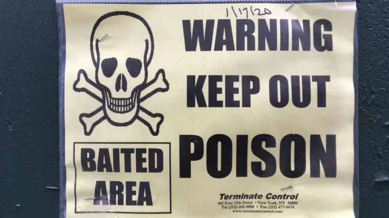 Pumpkin Juice Recall Targets Potential Botulism Hazard in New York Production - Featured image