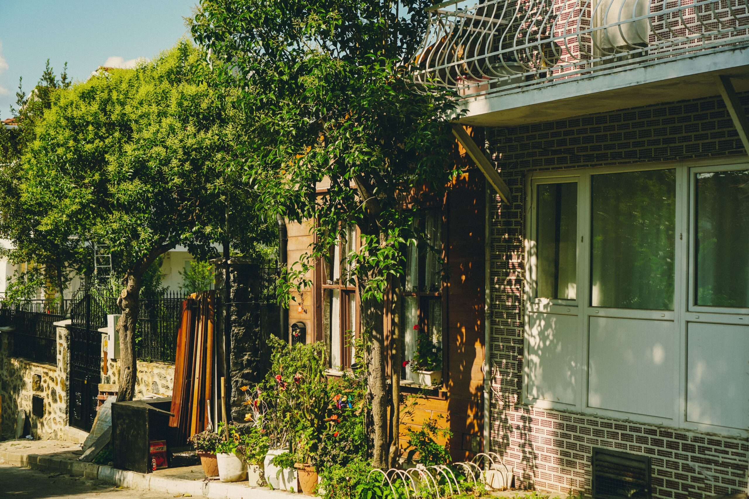 7 Trees With the Best Fall Color for Small Yards