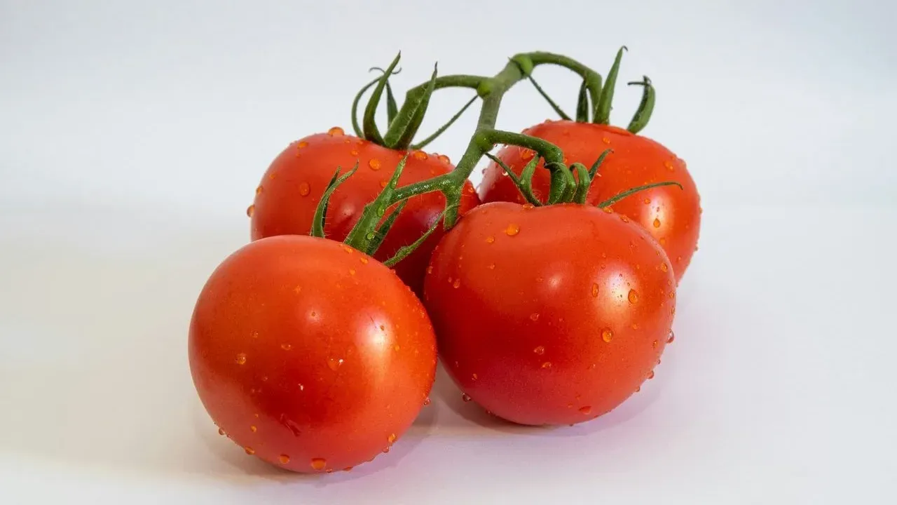 Does Epsom Salt Really Make Tomatoes Grow Better? What Gardeners Get Wrong About This Popular Trick