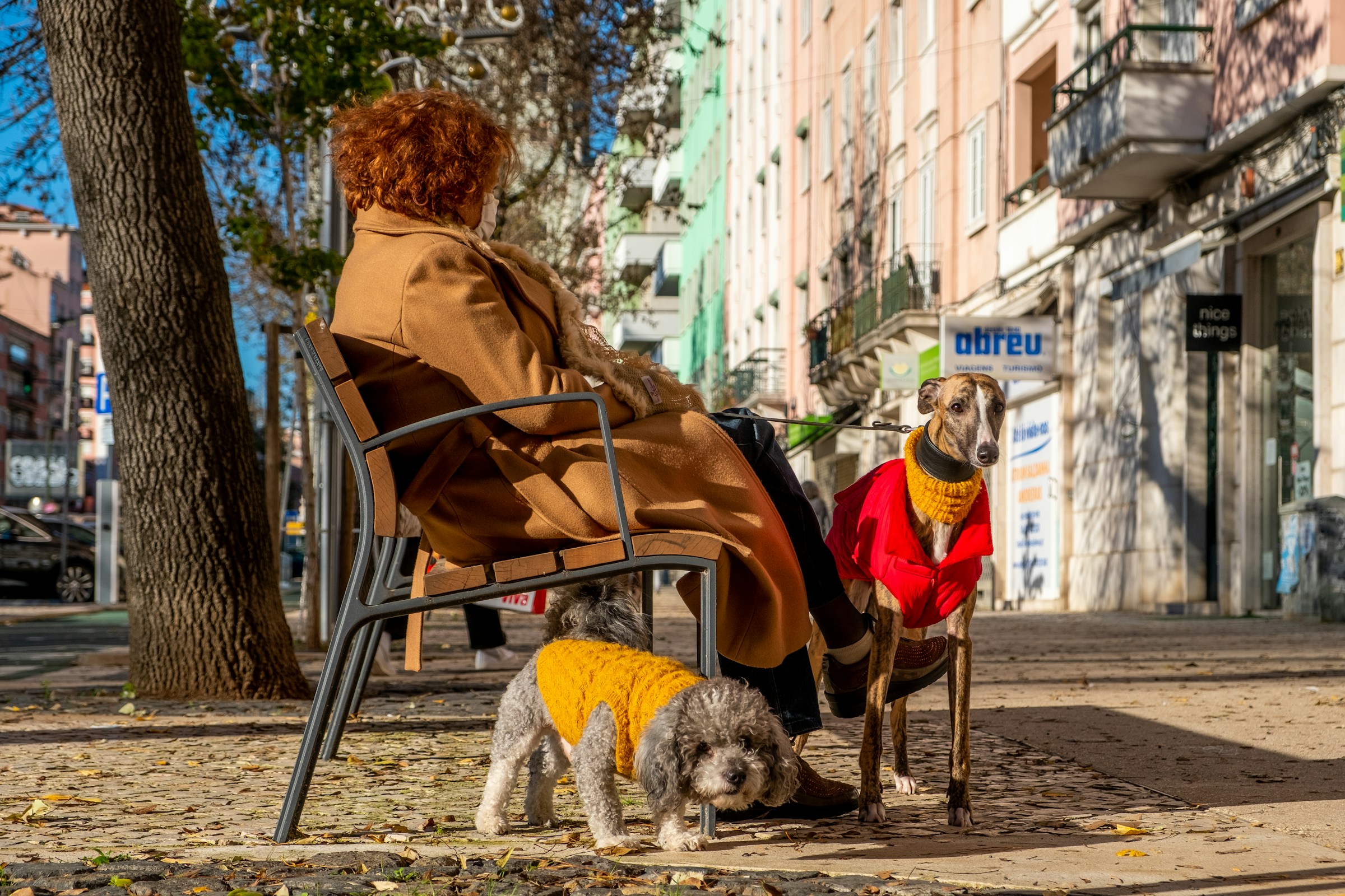 The Pet Decision Many Retirees Wish They'd Made Sooner