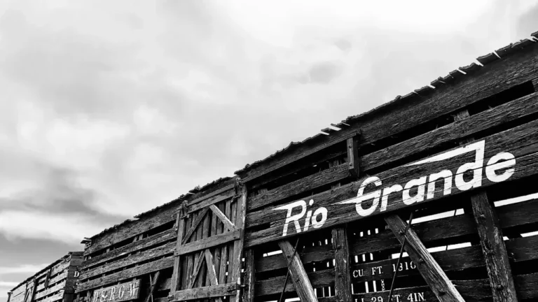 San Ygnacio Residents Celebrate Months-Long Pause in Border Wall Construction Along the Rio Grande - Featured image