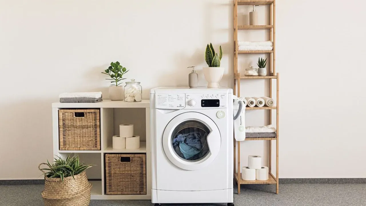 Why Clean Laundry Can Still Smell Musty