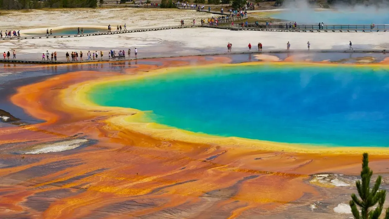 Yellowstone National Park Receives Record $105 Million Gift from Tallgrass