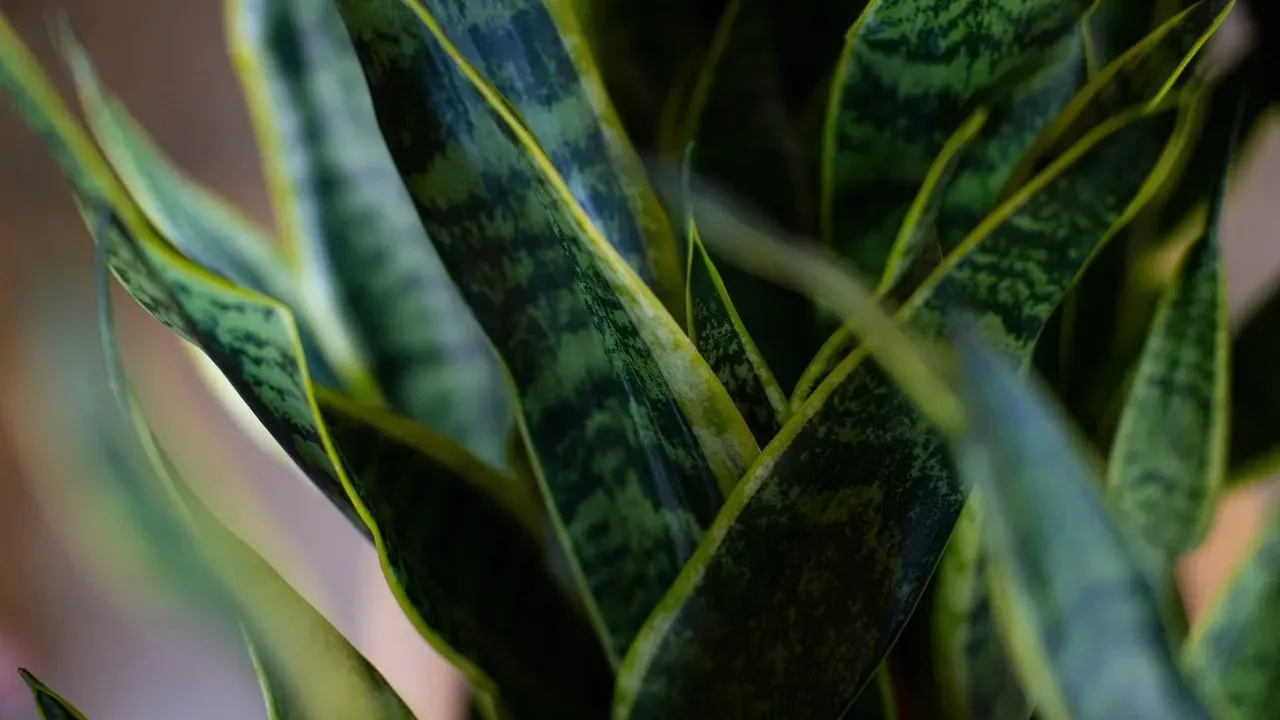 Can Plants Really Keep Snakes Out of Your Garden? What the Science Actually Says