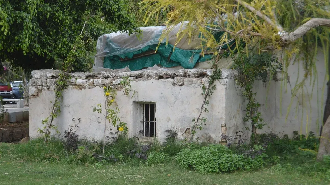 When Life Slows the Gardener, the Garden Still Offers Strength