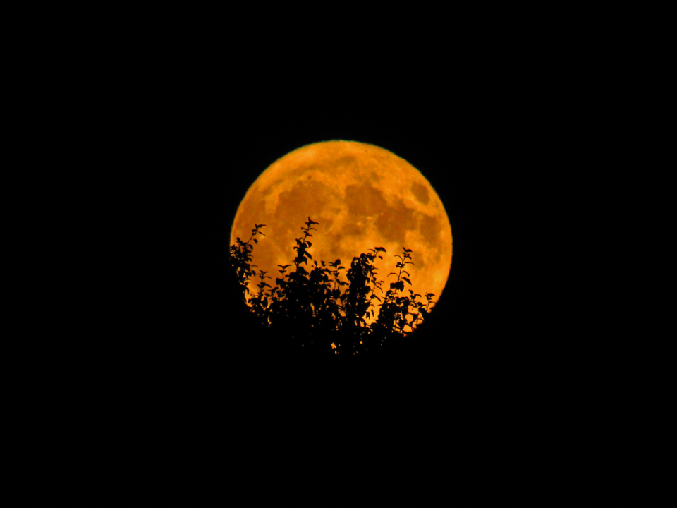 Why Some People Sleep Worse During a Full Moon, According to Researchers