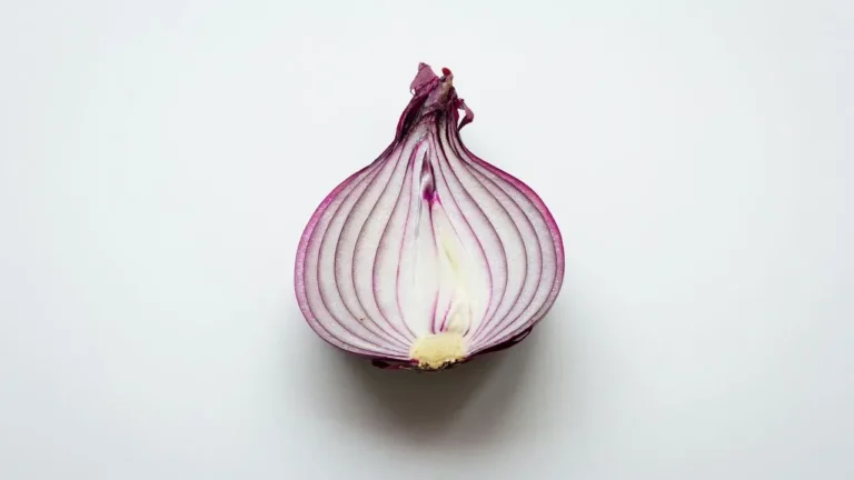 London Vegetable Orchestra Plays Onion Trombone at Abbey Road - Featured image