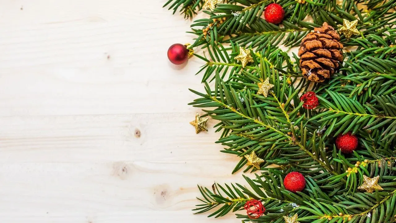 California Red Fir: The Rare Towering Conifer With Red Bark