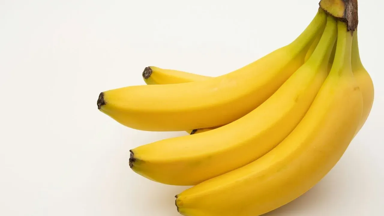 Banana Plants and Winter: Keeping Tropical Splendor Alive Until Spring