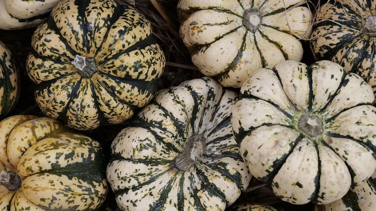 Jeni’s Splendid Ice Creams Turns Foraged Acorns Into Ice Cream After Five Years of Sourcing Work