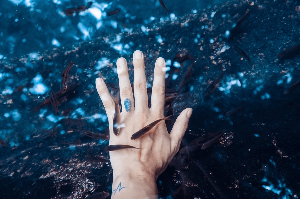 Why Your Fingers Wrinkle in Water but the Rest of Your Skin Doesn't